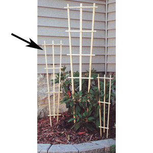 Grower Trellis 3' Standard Natural - 25 per pack - Supports